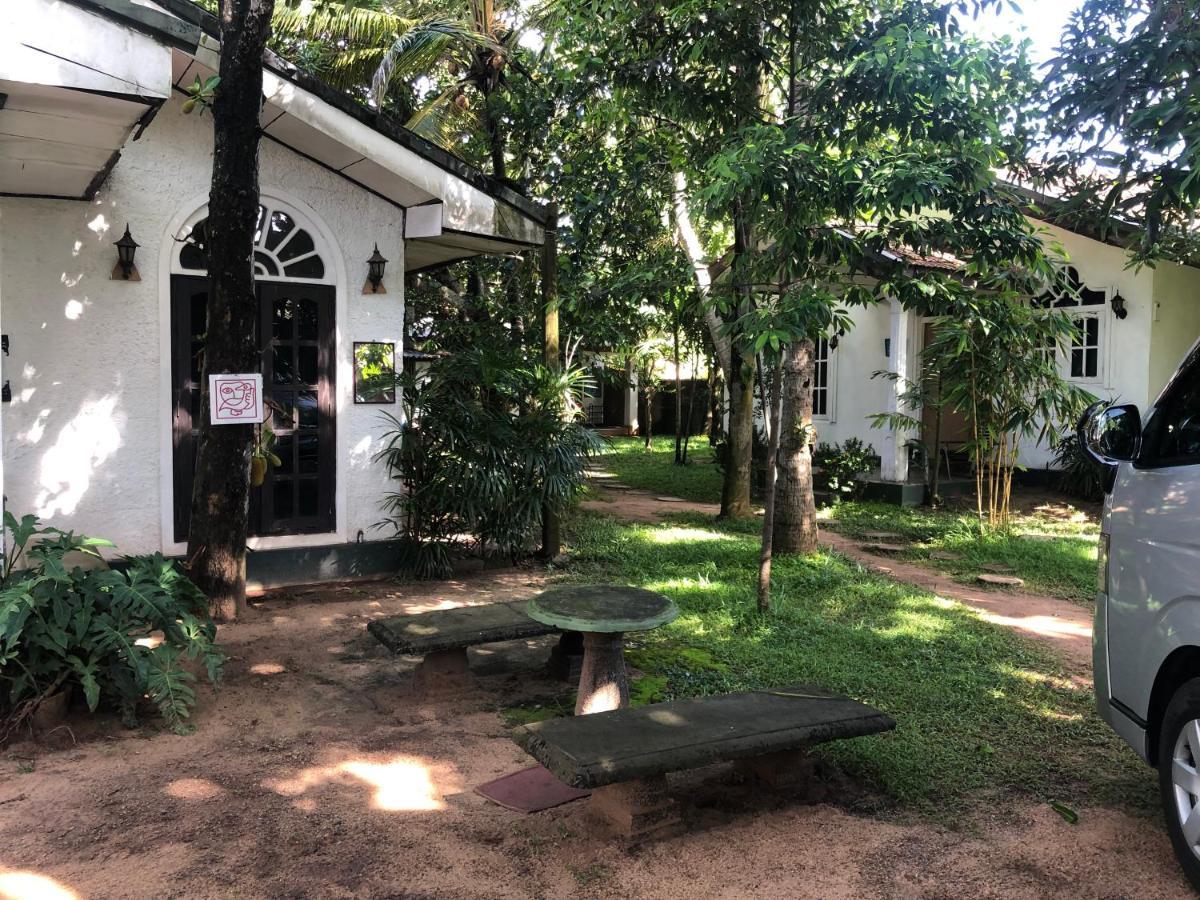 Sylvester Villa Hostel Негомбо Екстер'єр фото