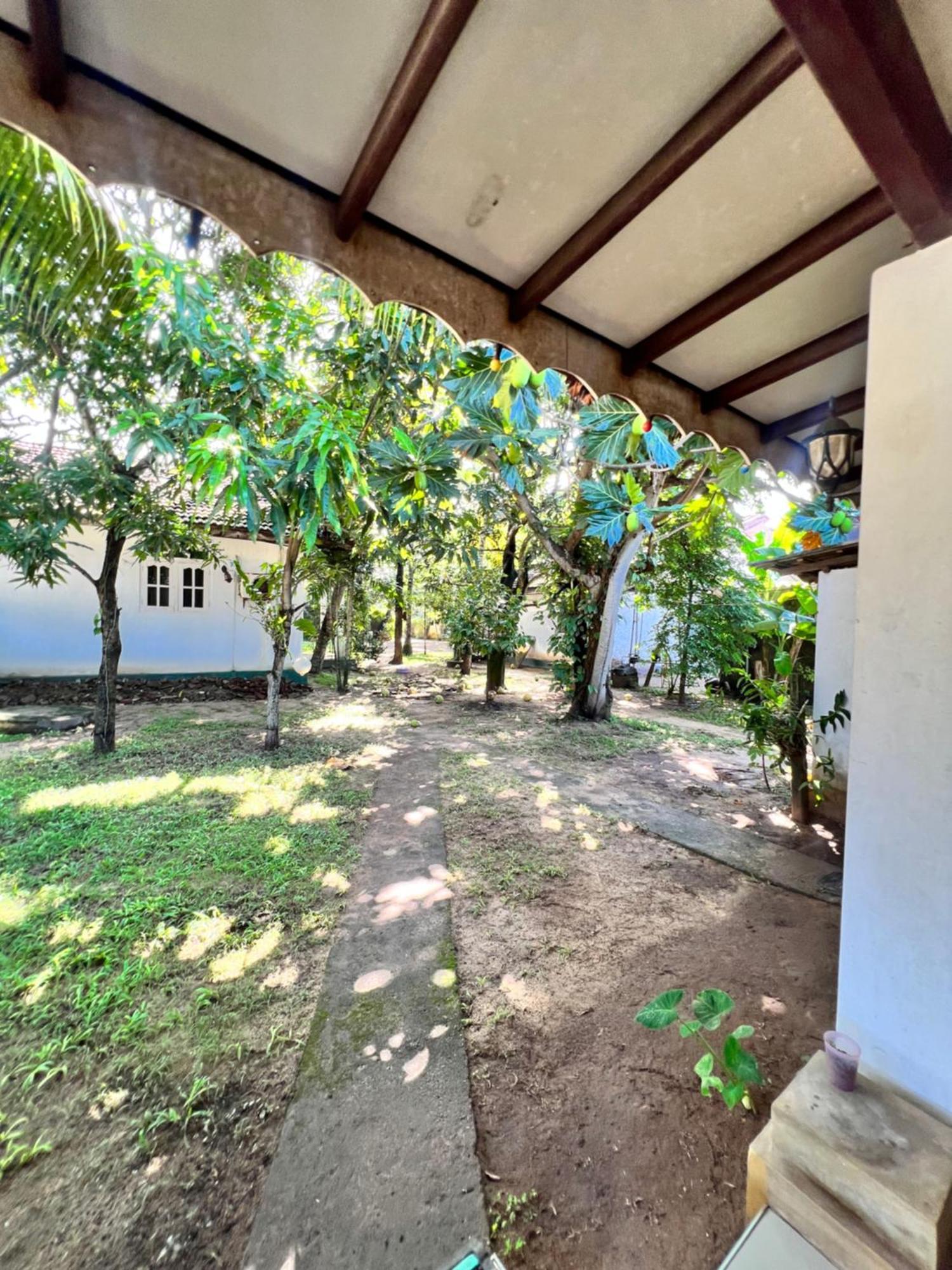 Sylvester Villa Hostel Негомбо Екстер'єр фото